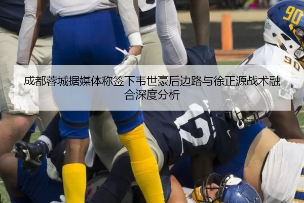 成都蓉城据媒体称签下韦世豪后边路与徐正源战术融合深度分析