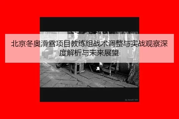 bei-jing-dong-ao-hua-xue-xiang-mu-jiao-lian-zu-zhan-shu-tiao-zheng-yu-shi-zhan-guan-cha-shen-du-jie-xi-yu-wei-lai-zhan-2-958.jpg